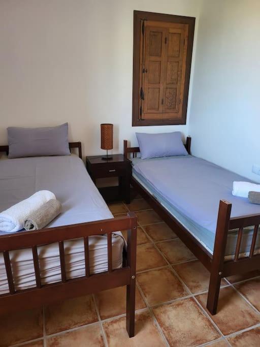Casa De Flores Torrevieja Eksteriør billede