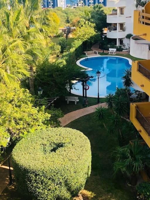 Casa De Flores Torrevieja Eksteriør billede
