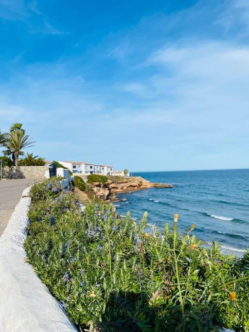 Casa De Flores Torrevieja Eksteriør billede